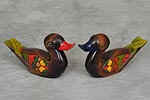 DS016 $26.00