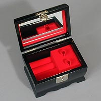 Turtle Flying Cranes Music Box - Open