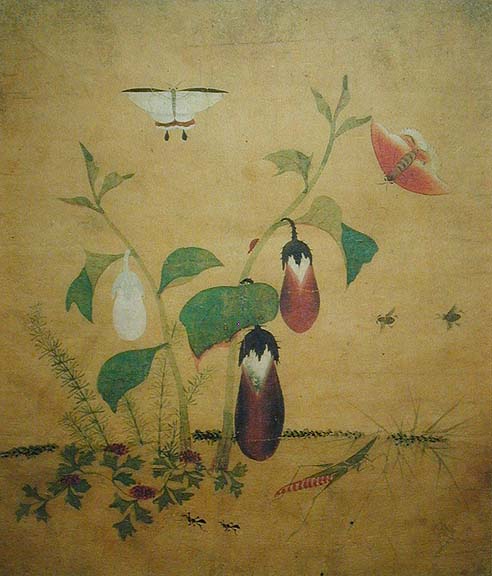 Shin Sa-im-dang Eggplant